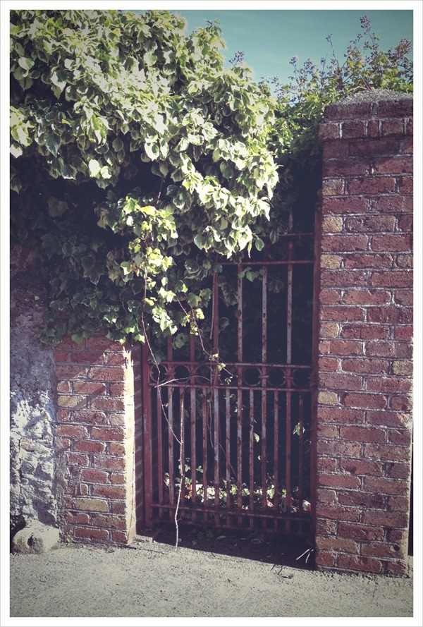 old gate.JPG old gate.JPG